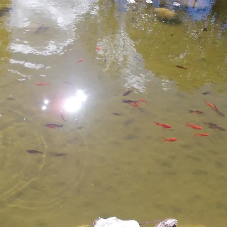 Апарт-отель Los Rastrojos Аранда-де-Дуэро