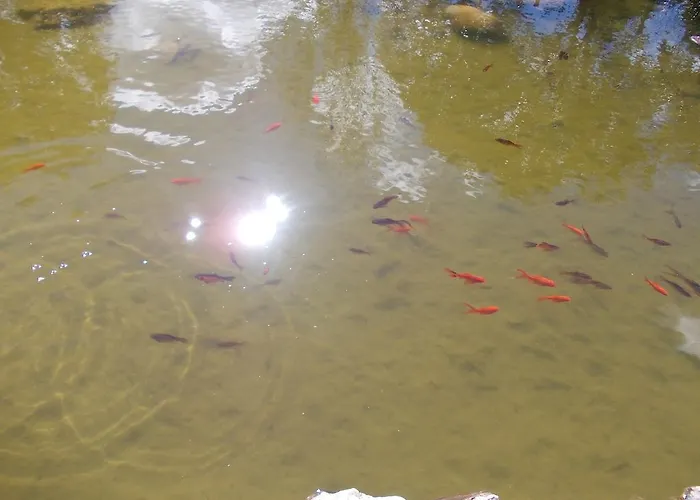 Aparthotel Los Rastrojos Aranda de Duero